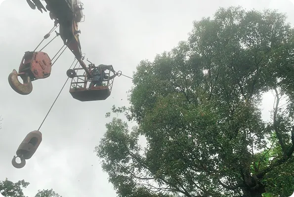 菖曜園藝景觀設計實例