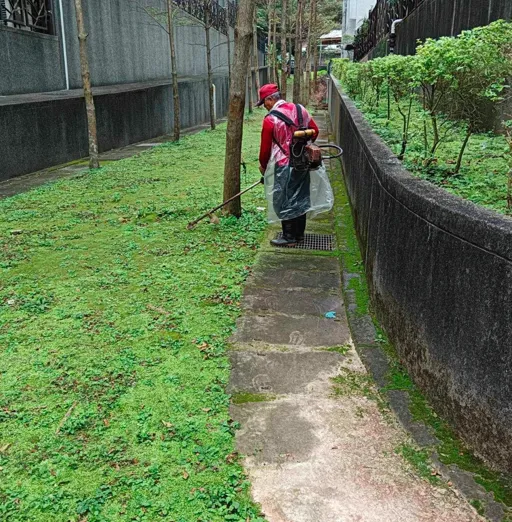 菖曜園藝植物種植與補植實例
