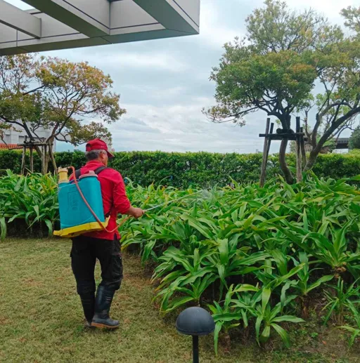 菖曜園藝病蟲害防治服務
