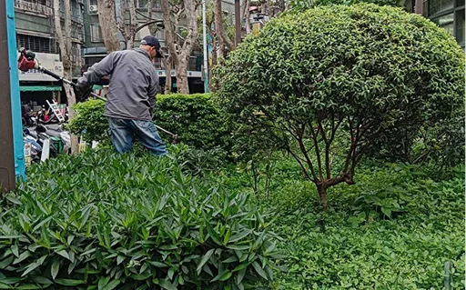 菖曜園藝園藝廢棄物清運實例