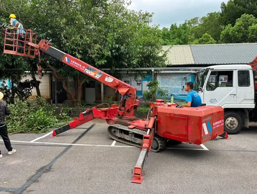 菖曜園藝喬木專業修剪實例