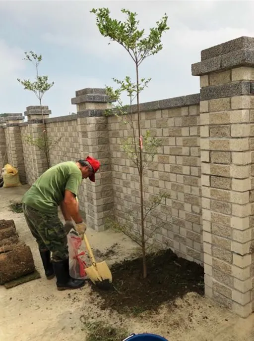 菖曜園藝樹木養護管理實例
