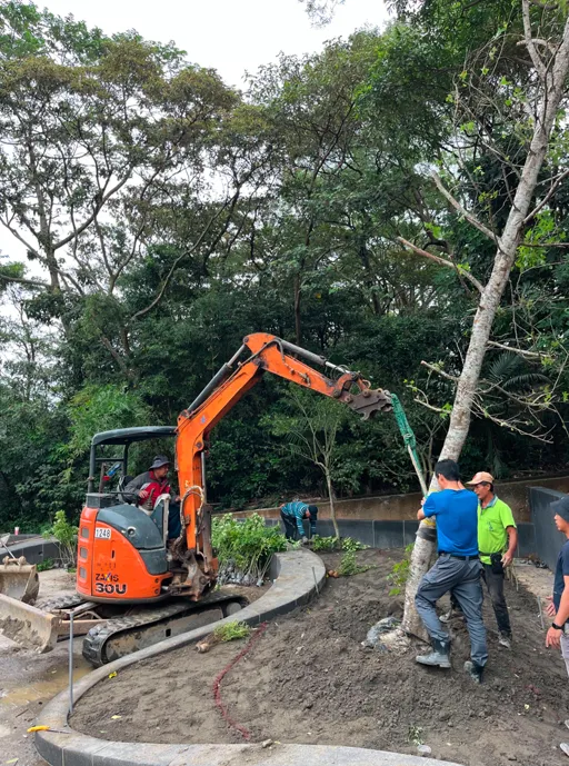 菖曜園藝樹木固定與支撐作業專業服務